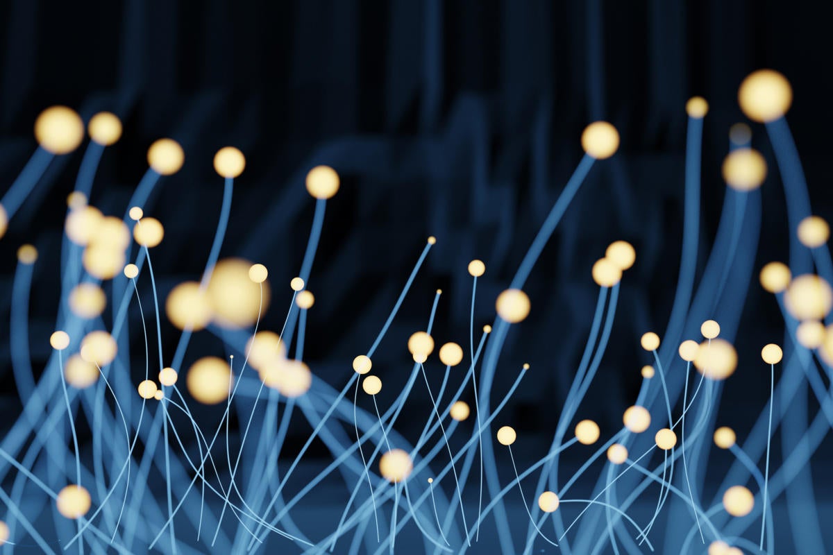 network endpoint connections / synapses