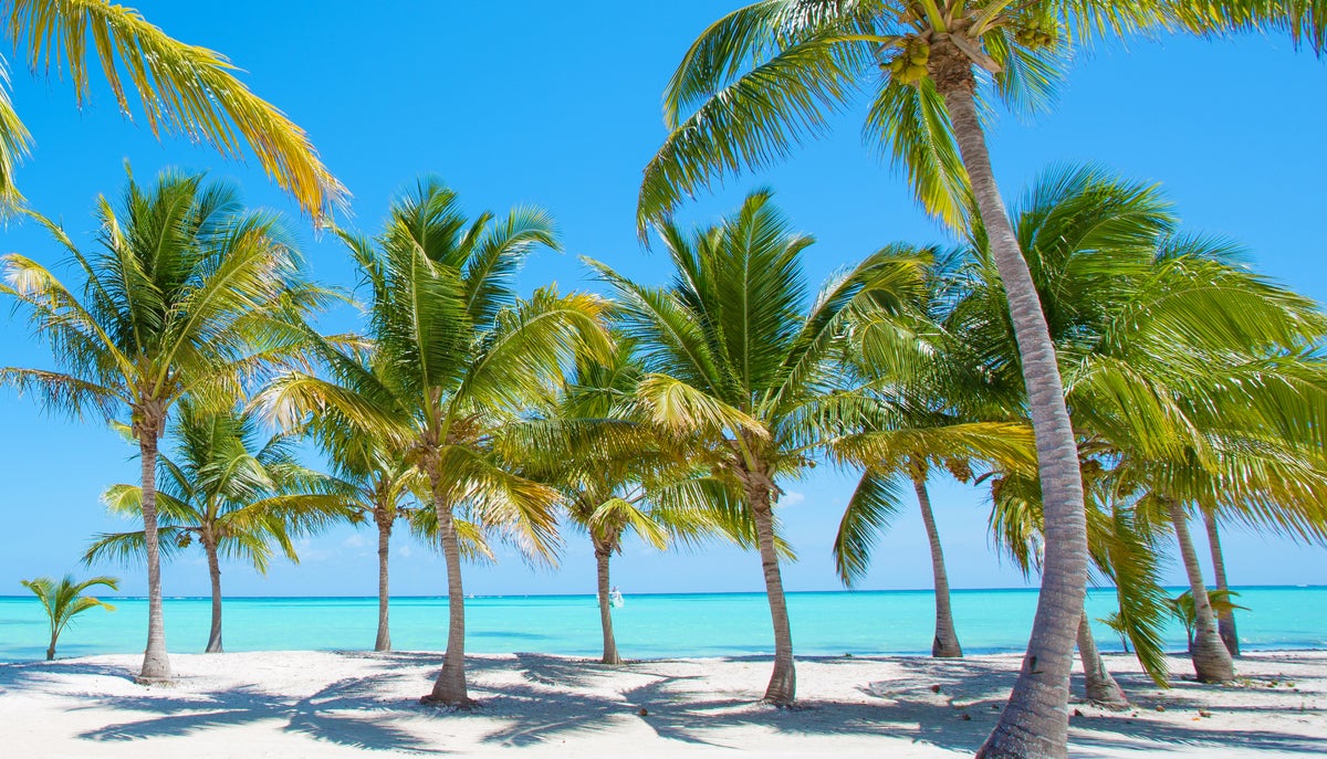 shutterstock 1932876530 tropical beach with palm trees white sand and turquoise sea