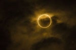 Eclipse enterprise Java gathers steam, MicroProfile slips